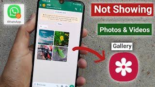 Dual WhatsApp photo & video not showing in gallery android | whatsapp media not showing in gallery