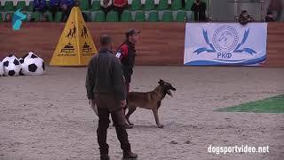 Category 3 - Claus Angerer + Baryk Retrobelge / BSD (Malinois) - Austria