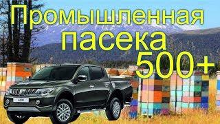 Промышленная пасека Белоруси в 500 семей /часть 1