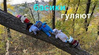 Басики гуляют