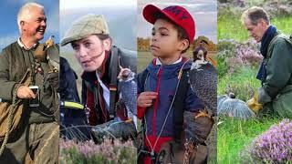 World Falconry Day 2020