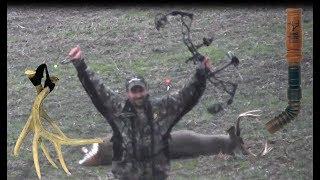 Public Land Whitetail Deer Bow Hunt in IL - Calling, Grunting, Rattling Big Bucks - Spine Shot