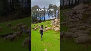 2 days in Jibhi Tirthan Valley ( Himachal Pradesh ) ️ #shorts #trendingshorts #travel