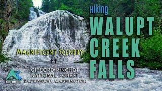 Walupt Creek Falls| I Will Look For You I Will Find You | Off-Grid Adventure | Chasing Waterfalls