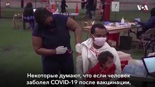 Вакцины  против COVID-19: без «секретных ингредиентов»