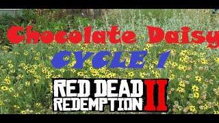 RDR2 Chocolate Daisy Flower Locations (Cycle 1)