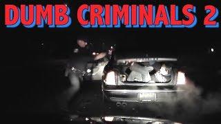 Dumb Criminals 2 || LPE360