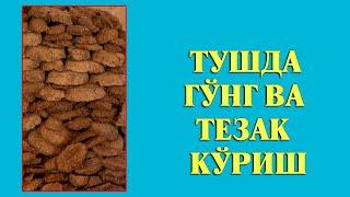 Туш табири - Тушда Гунг тезак куриш