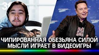 ЧИПИРОВАННАЯ ОБЕЗЬЯНА ИЛОНА МАСКА