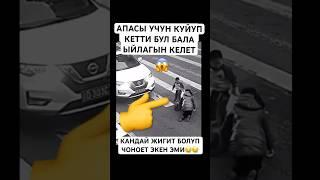 БАА БЕРДИМ ️ #тикток #моялошадь #дуэт #лошадки #rek #тренд #юмор #той
