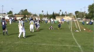 8 year old soccer player ( assist )