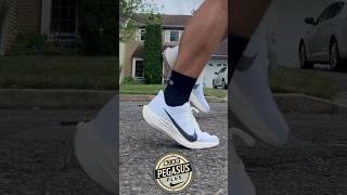 Nike Pegasus Plus In Motion #running #shoes #shorts