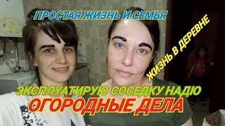 ОГОРОДНЫЕ ДЕЛА/ЖИЗНЬ В ДЕРЕВНЕ/КУПИЛИ ВЕЛИК/ПРОСТАЯ ЖИЗНЬ И СЕМЬЯ/