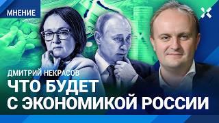 Рост безразвития: экономика будет деградировать, а инфляция — расти. НЕКРАСОВ о будущем экономики РФ