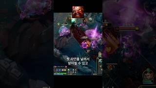 육각형 챔피언
