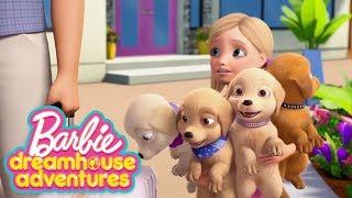 @Barbie | A Dogs Day in Court | Barbie Dreamhouse Adventures