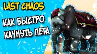 last chaos - Как прокачать пета. uopilot.