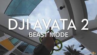 DJI Avata 2 - Dronarchy Beast Mode