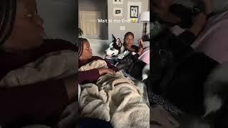 Funny Husky#dog#dogs#funny #for #foryou #fyp #foryoupage #funnyvideo #cute #animals #pet#usa