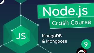 Node.js Crash Course Tutorial #9 - MongoDB