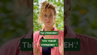 ЧТО ТОБОЙ УПРАВЛЯЕТ ? БУДЬ СПОКОЕН ! #силасознания #спокойствие #эмоции #саморазвитие #Будда #сон
