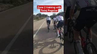 Training in #Zone2 for Pogi is Zone4 for us - amateur cyclists #cycling #pogacar #tadejpogacar