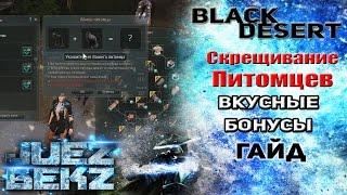 Black Desert Гайд: Скрещивание котов - Вкусные бонусы.