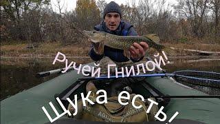 РУЧЕЙ ГНИЛОЙ-ЩУКА ЕСТЬ!