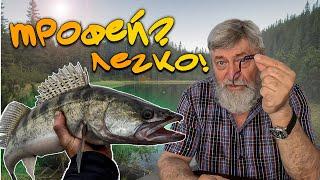 Шалені Результати з Новою приманкою.  Ловимо Трофеї Без Зусиль!