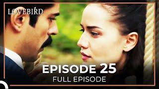 Lovebird Episode 25