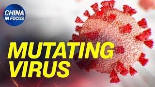 3 types of the CCP virus are spreading; Chinese province plans to add 52,000 quarantine rooms
