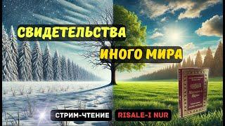 СВИДЕТЕЛЬСТВА ИНОГО МИРА (чтение Рисале и Нур) | #стрим #ислам