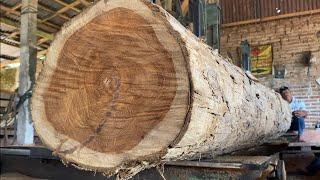 Resigned When This Teak Wood Splits at the Sawmill