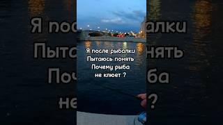 КЛЮЕТ ИЛИ НЕ КЛЮЕТ?вот в чем вопрос #мысли #рыбалка #силамысли #мозг