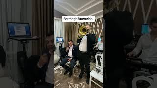 Formatia Bucovina in actiune