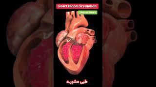 #heartbeating #humanheart #bloodcirculation #TibbiMashwaray #rizwanherbalclinic