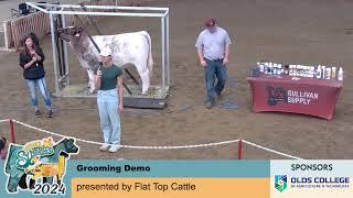 July 10 2024 - SYNERGY - Grooming Demo - EAST Ring Megadome - Olds, AB