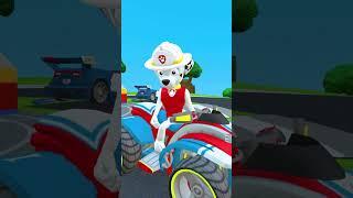MARSHALL's Birthday #pawpatrol #marshall #chase #shorts