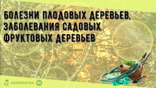 Болезни плодовых деревьев, заболевания садовых фруктовых деревьев