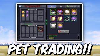 Pet TRADING is Coming in Skyblock!