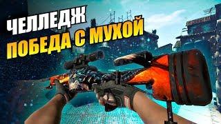 ЧЕЛЛЕНДЖ КС ГО - ПОБЕДА ТОЛЬКО С МУХОЙ (1 попытка) / CS GO НАПАРНИКИ 2x2