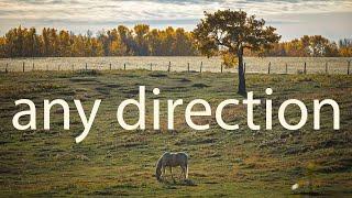 Any Direction