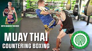 3 Ways to Counter Aggressive Boxing in Muay Thai with Damien Trainor