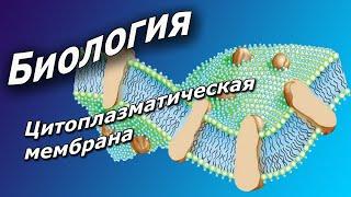 Цитоплазматическая мембрана