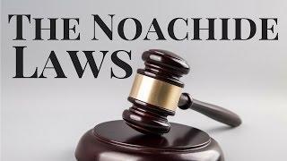 What are the Noachide Laws?