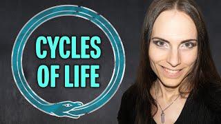 Accepting the Cycles of Life