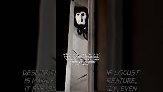 The Locust - Doctor Nowhere