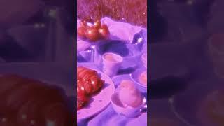 Very cute chickens 