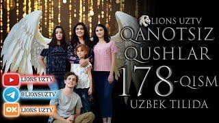 QANOTSIZ QUSHLAR 178 QISM TURK SERIALI UZBEK TILIDA | КАНОТСИЗ КУШЛАР 178 КИСМ УЗБЕК ТИЛИДА