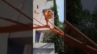 #monkeylift bhaskar